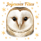 Hibou festif pour des joies de Noël